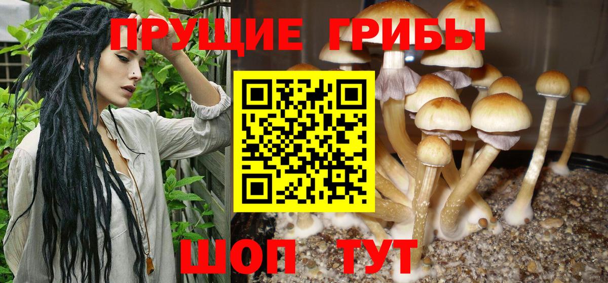 Псилоцибиновые грибы Psilocybe  как найти закладки  Первоуральск  Вход с VPN 